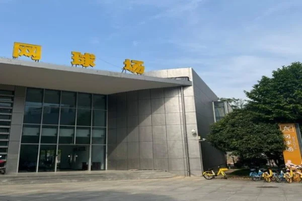 德甲第8轮莱比锡对阵勒沃库森塞斯科与希克前锋对决谁更强